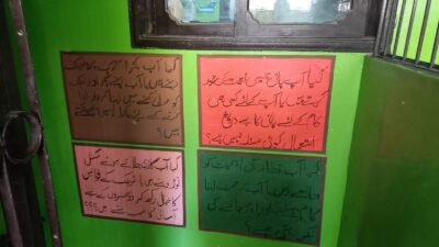 Pictures of The Human Academy